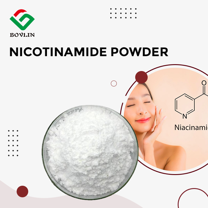 Nicotinamide Powder